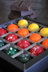 Box of 16 Hemisphere - Zam Artisan Chocolates